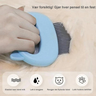 MASSASJON OG PASSERING FOR KATTEN DIN!(🔥Kjøp 2, -10%, kjøp 3, -15%🔥)