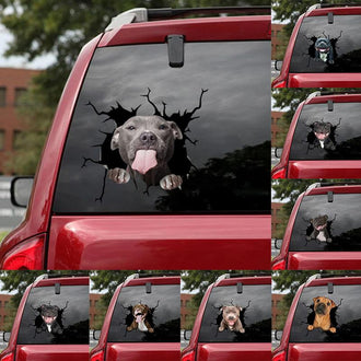 Hundeklistremerker(🔥Kjøp 2, -10%🔥)