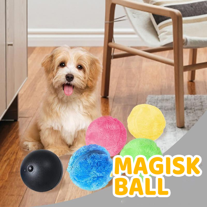 Magisk Ball for Hunder