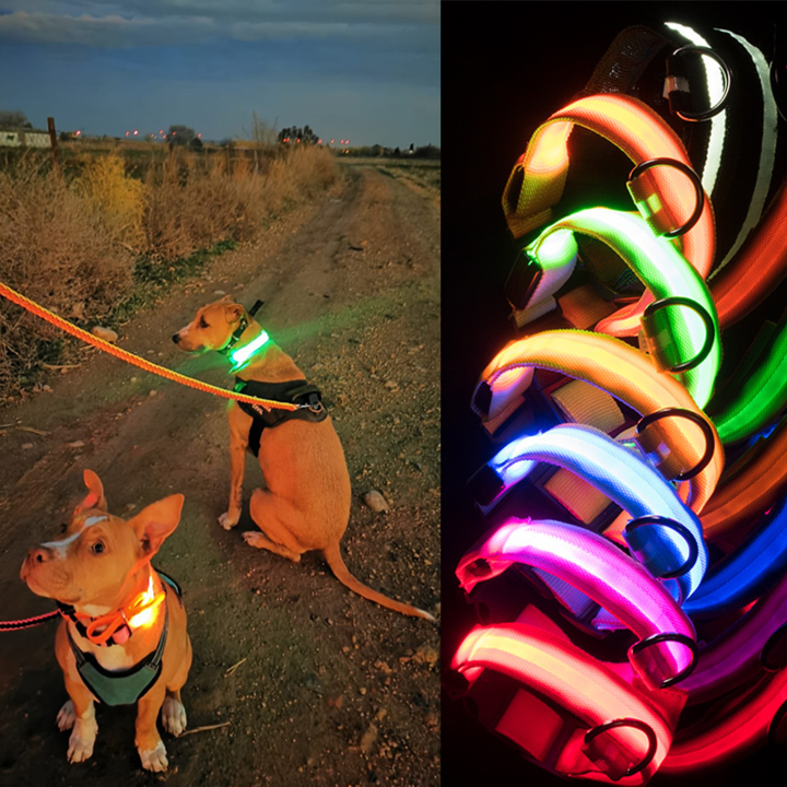 LED kjæledyrkrage