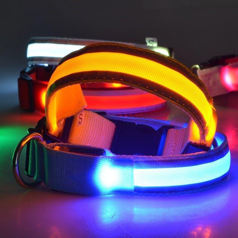 LED kjæledyrkrage