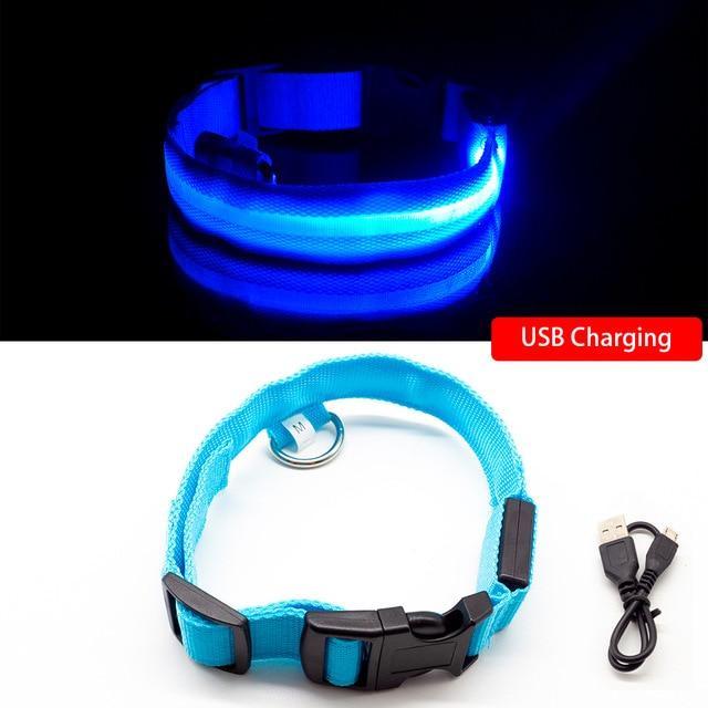 LED kjæledyrkrage
