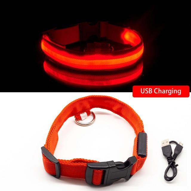 LED kjæledyrkrage